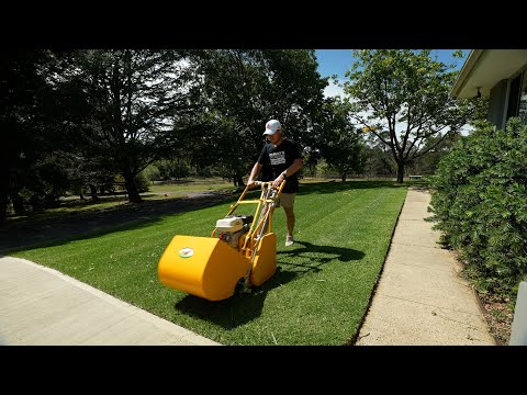 MEY Cylinder Mower...  P.S.  I May Have Killed Part of My Lawn