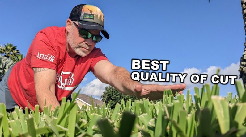 3 Lawn Care Innovations That Will Improve Your Lawn