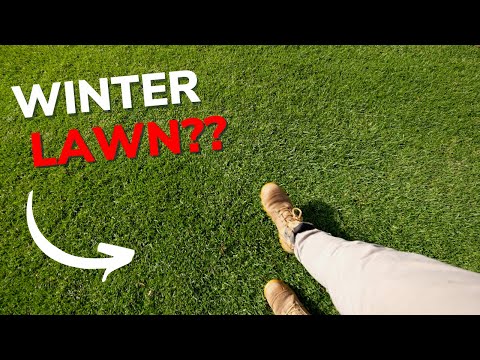 It's Good To Be Back // Productive Property Day