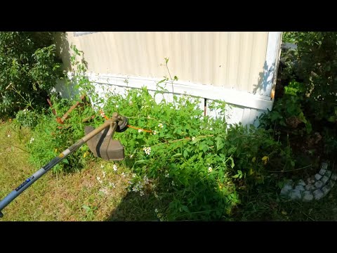Mowing tall weeds (Relaxing Lawn Care)