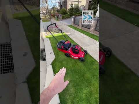 Masport 60v Battery Lawn Mower #review #tools #diy