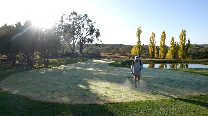 Mini Lawn Renovation!! // Core Aeration + Green Update!