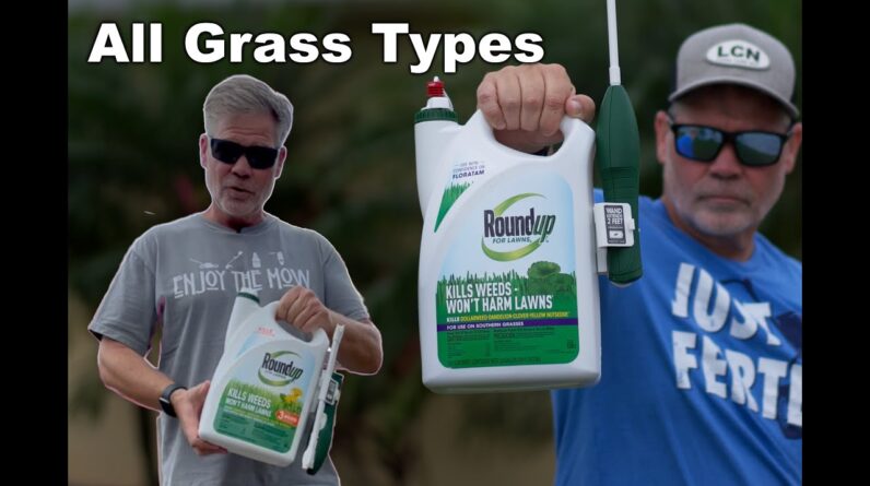 Easiest Weed Control for Beginners // RoundUp You Can Use Safely On Your Lawn
