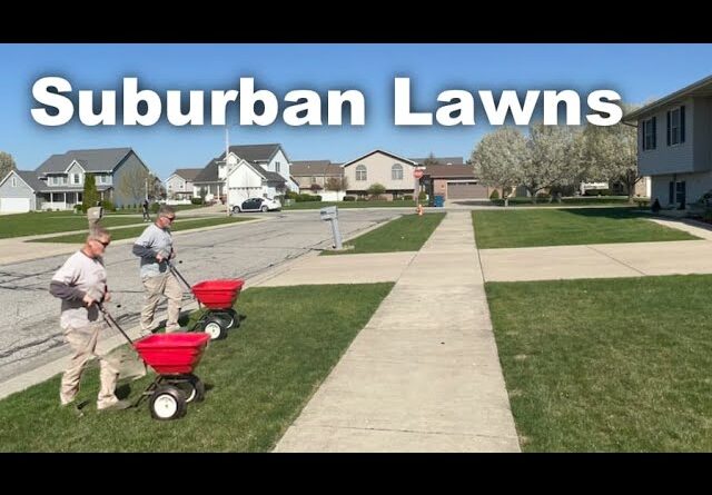 Northern Lawns In A Strange But Typical Spring