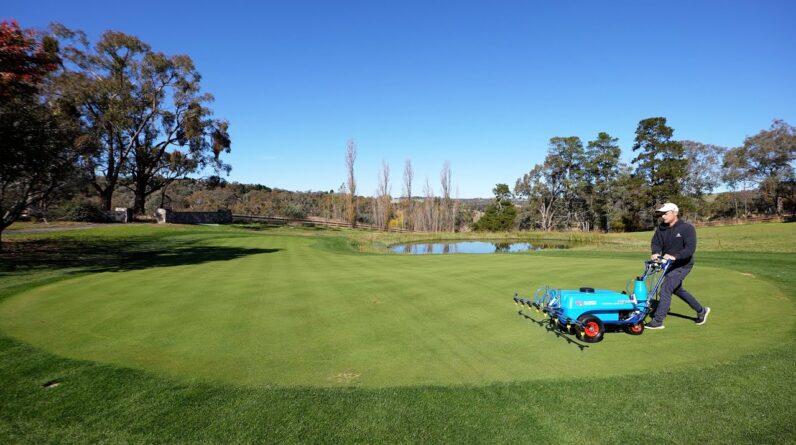 The Complete Guide to Liquid Fertilisers // Everything You NEED TO KNOW