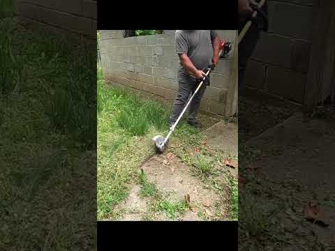 HOMEOWNER Didn't Recognize His Backyard After Mowing His Tall Grass