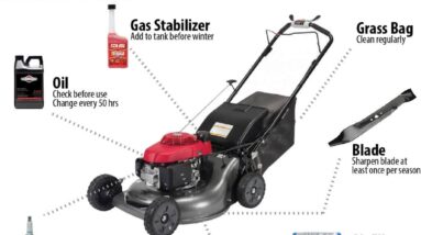 A Comprehensive Guide to Lawn Mower Oil Types and Maintenance - Mowrs