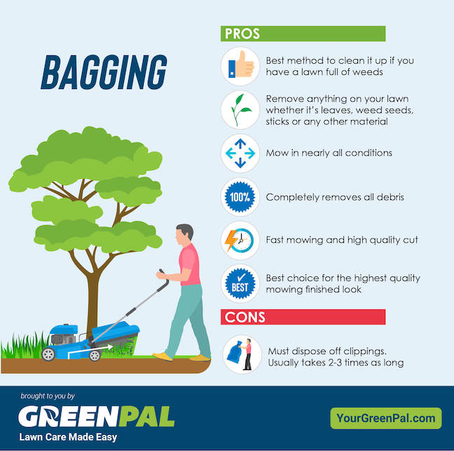 Lawn Mower Bagging vs. Side Discharge: Which is Better?