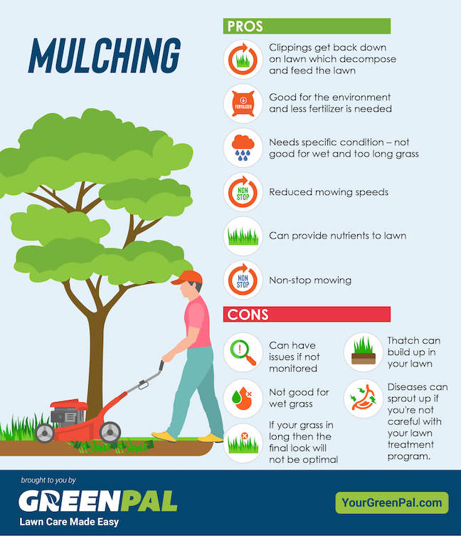 Lawn Mower Bagging vs. Side Discharge: Which is Better?