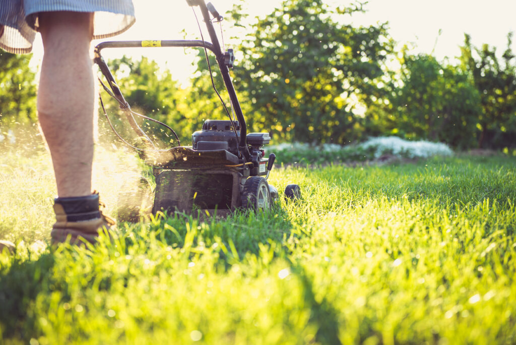 Essential Lawn Mower Maintenance Tips for a Grub-Free Garden Essential Lawn Mower Maintenance Tips for a Grub-Free Garden