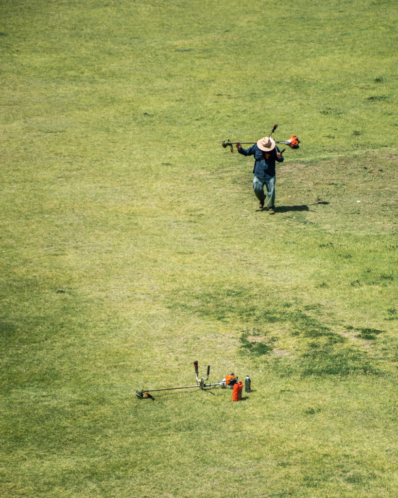 Essential Lawn Mower Maintenance Tips for a Grub-Free Garden Essential Lawn Mower Maintenance Tips for a Grub-Free Garden