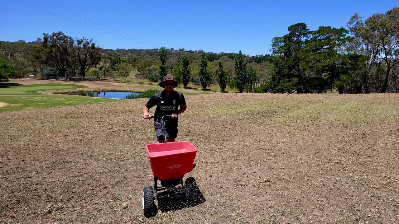 Spriging All You Need to Know about Seeding and Sprigging a Lawn - Mowrs.com