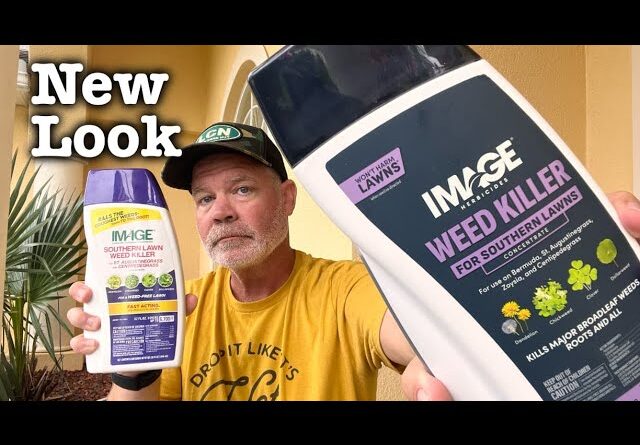 PROFESSIONAL Weed Control Available In Stores for Homeowners - Best for Southern Lawns