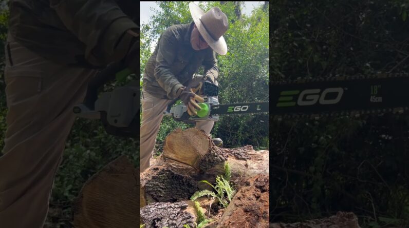 No More Fumes! Ego Electric Chainsaws