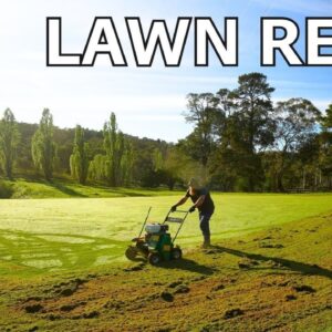 Full Lawn Renovation From Start To Finish