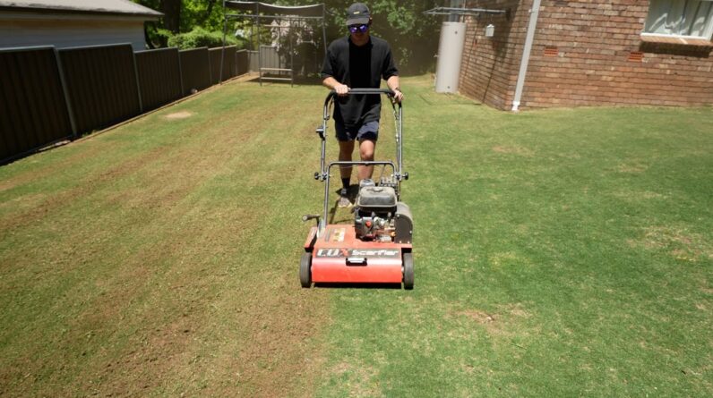 How To DO a Lawn Renovation // Couch (Bermuda) Grass Reno