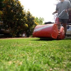 First Mow on the TifTuf Couch After Renovation at 10mm