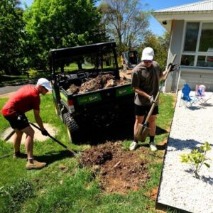 Overgrown Garden and Lawn Clean Up