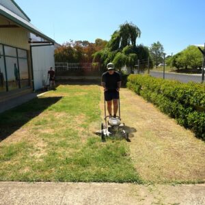Will A Lawn Renovation Fix This Lawn?