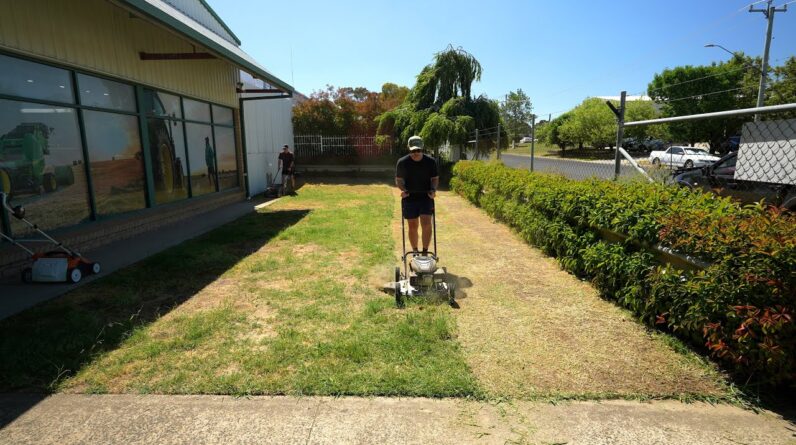 Will A Lawn Renovation Fix This Lawn?