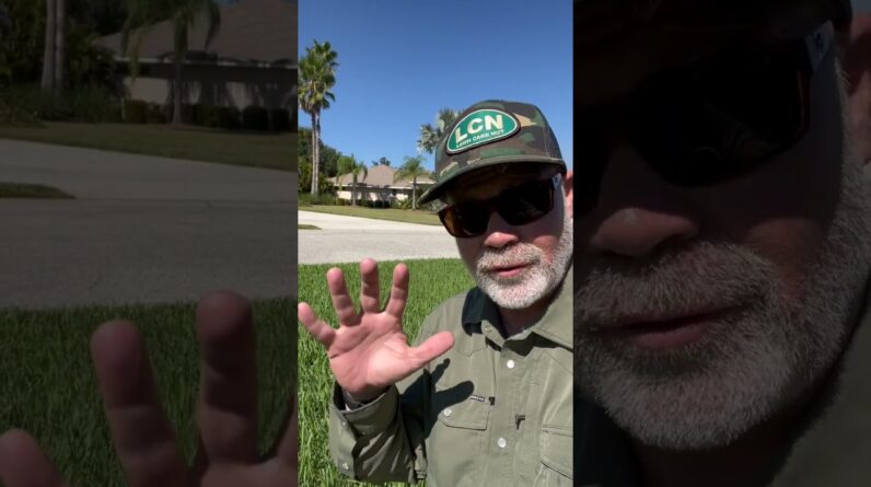 Winter Lawn Care - Florida, Texas and SoCal #winter #lawncare