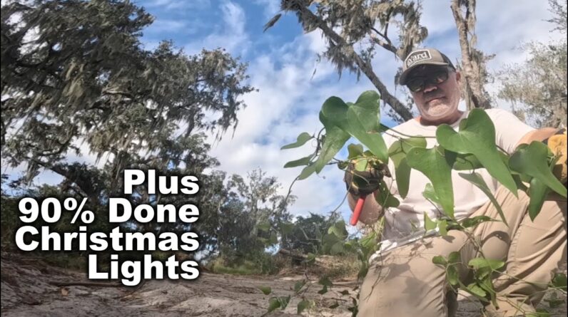 Thorny Vine Taking Over My Property
