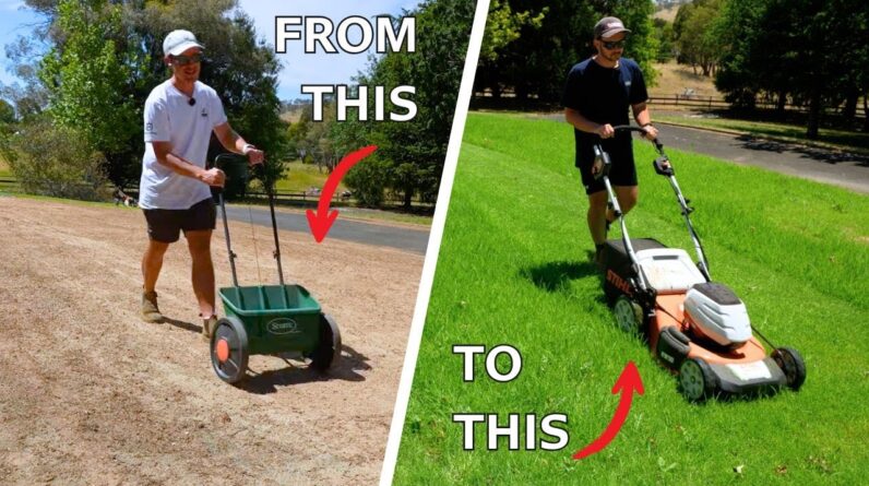 8 Week Seeding Results // Seed Update