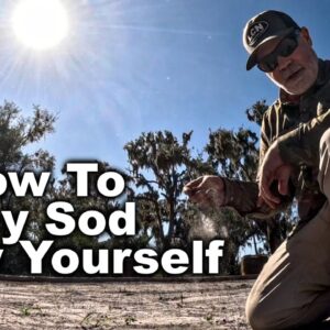 How To Lay Sod All By Yourself Even When It's Dormant