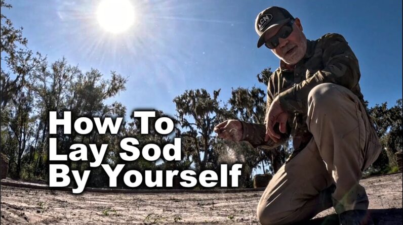 How To Lay Sod All By Yourself Even When It's Dormant