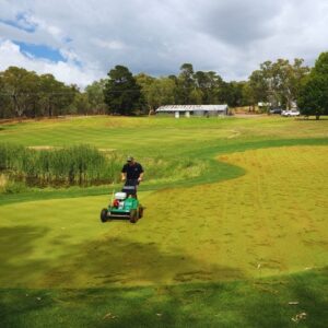 Tearing up my Lawn? // Heavy Dethatch