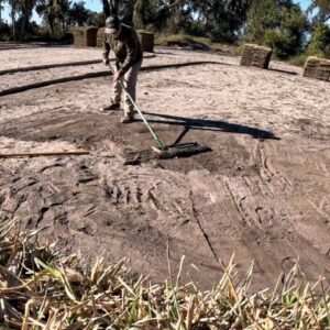 This Is What I've Been Doing All Weekend