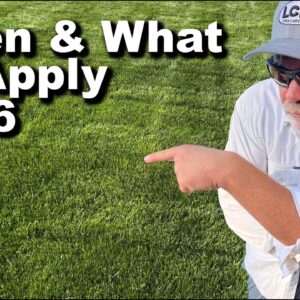 When To Start Your Lawn Care in 2026 📆 When and What To Apply