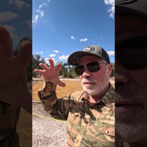 NEW SOD - Should Your Apply Pre-Emergent Prodiamine?  #lawncare