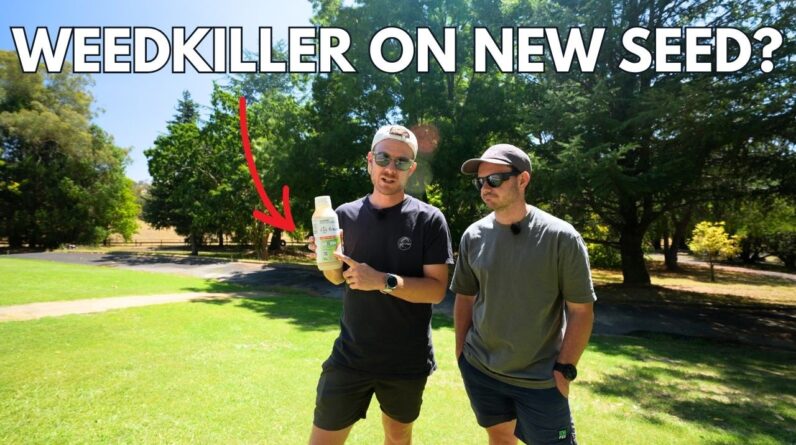 Removing Kikuyu From Couch Grass // Weedkiller On New Lawn