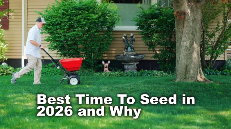 When To Seed Your Lawn in 2026 🌱 ALL Grass Types