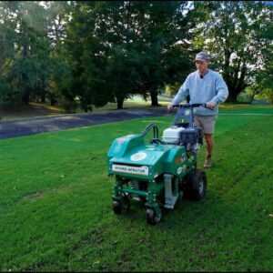 Desperately NEEDED Lawn Renovation // Speeding Up Repair