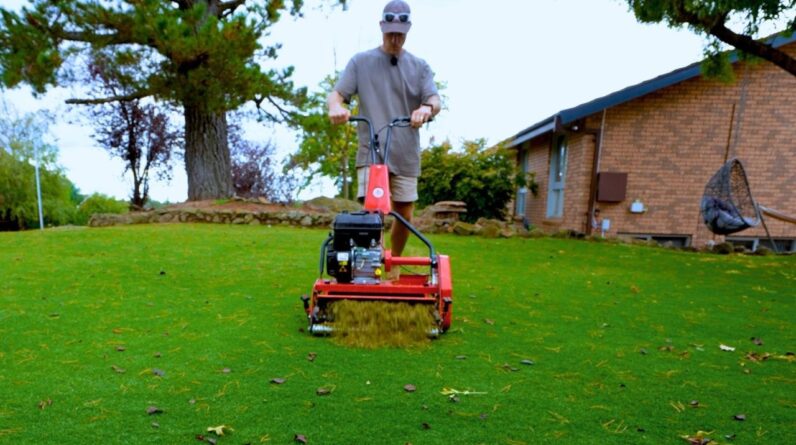 Did I Make A Mistake Doing This? // Late Season Dethatch