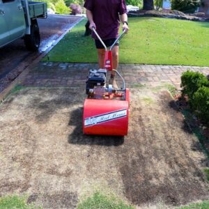 How To Oversow Bermuda Couch With Ryegrass