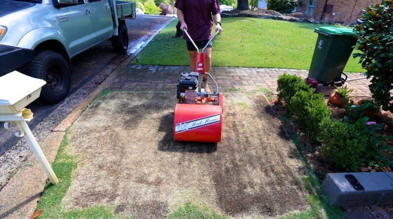 How To Oversow Bermuda Couch With Ryegrass