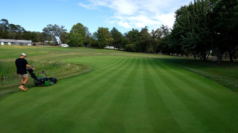 Shouldn't Have Let Him Mow my Lawn // ft. Lawnsingoodnick