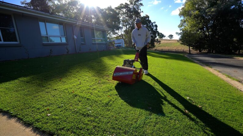 Relaxing Sunday Afternoon Mow at 22mm