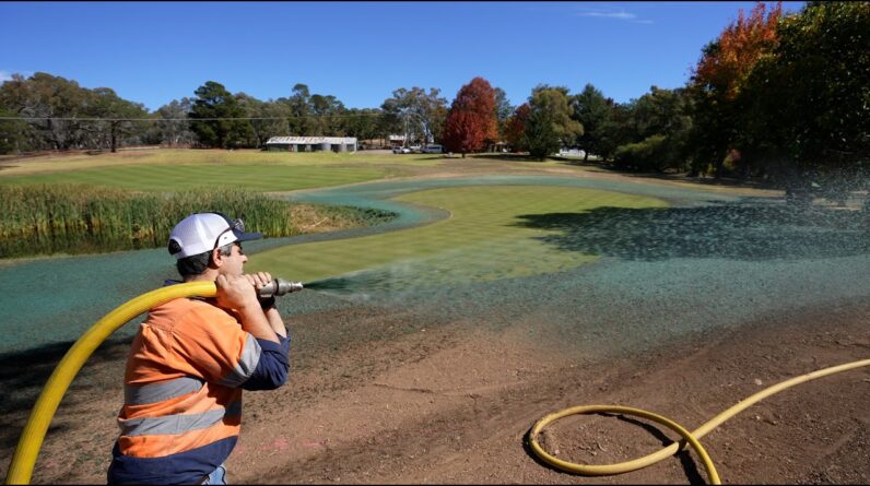 Seeding RYEGRASS around My GOLF GREEN with Hydromulch