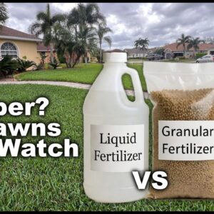Which Is Cheaper: Liquid or Granular Fertilizer?